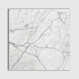 Italian Carrara Polished Marble Tiles 24x24