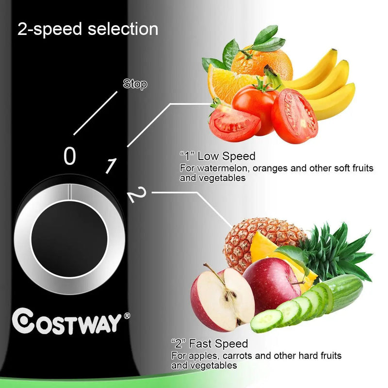 2 Speed Wide Mouth Fruit and Vegetable Centrifugal Electric Juicer by DirectDeals
