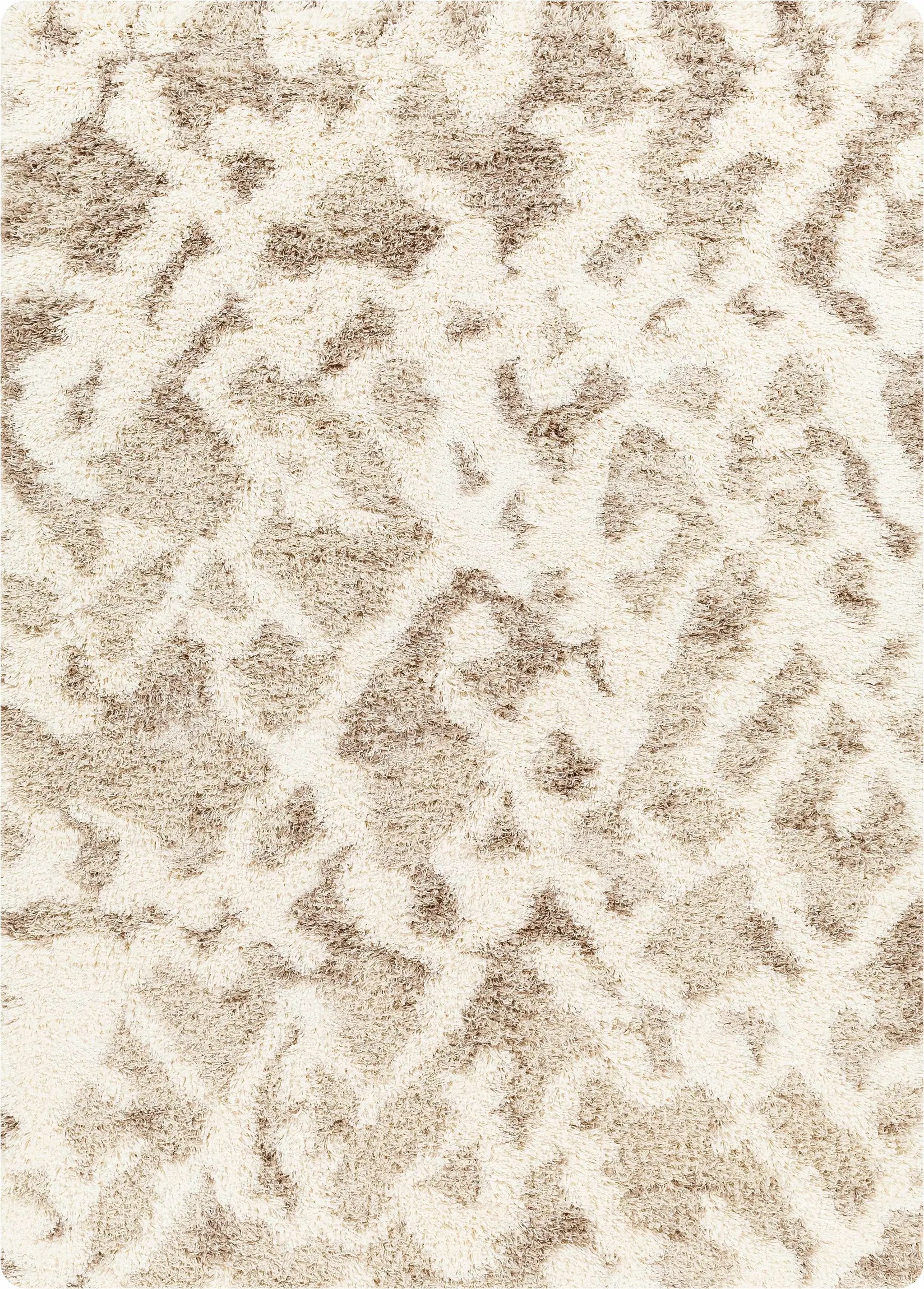 Jase Shag Area Rug by Boutique Rugs