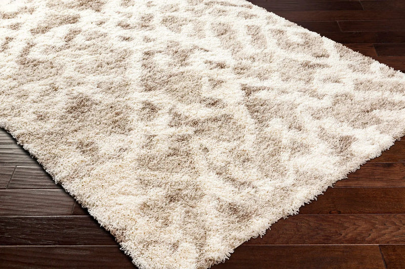 Jase Shag Area Rug by Boutique Rugs