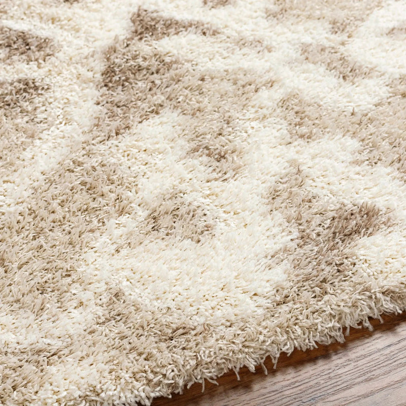 Jase Shag Area Rug by Boutique Rugs