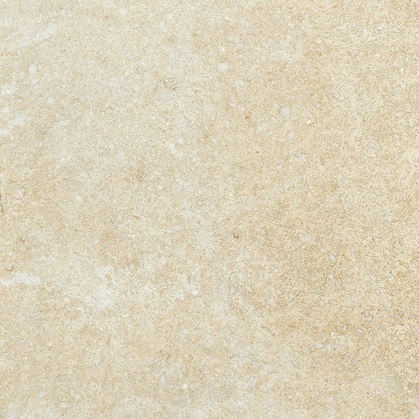 Jerusalem Honed Limestone Tiles 12x12
