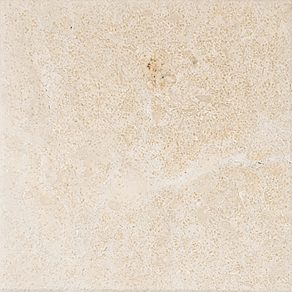 Jerusalem Honed Limestone Tiles 4x4 Limestone Honed 4x4 Tiles