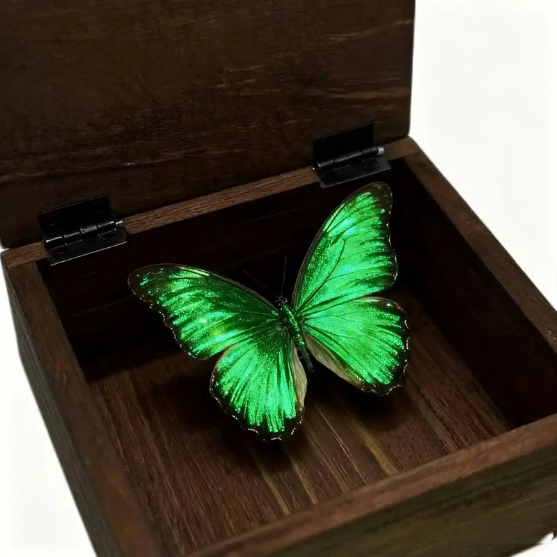 Jewelry Box - Portable Wood Small by House Of Avana