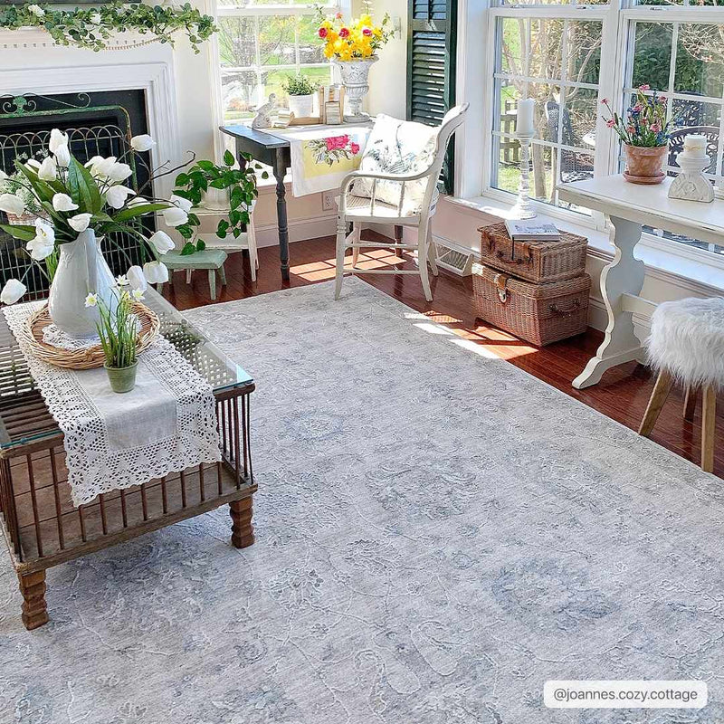 Albuquerque Thick Luxe Area Rug by Boutique Rugs