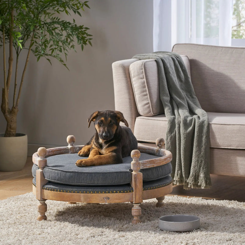 Contemporary Pet Bed by HouseOfZazla