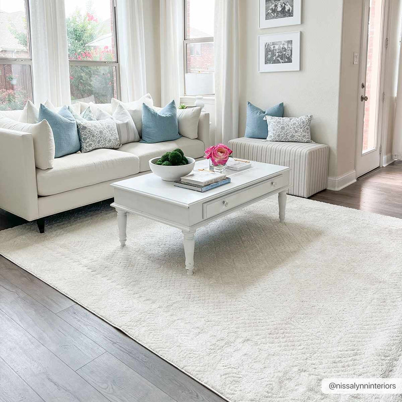 Julio Ivory Area Rug by Boutique Rugs