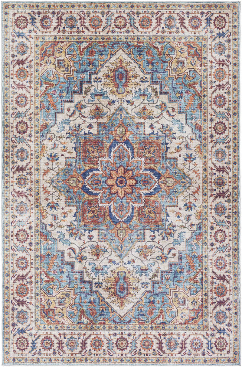 Kapaa Traditional Area Rug by Boutique Rugs