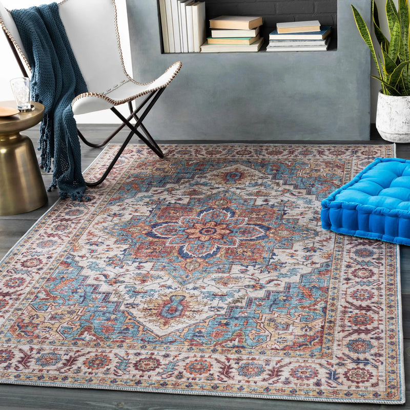Kapaa Traditional Area Rug by Boutique Rugs