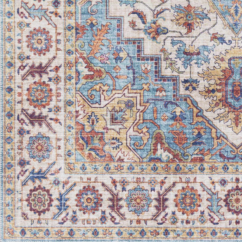 Kapaa Traditional Area Rug by Boutique Rugs
