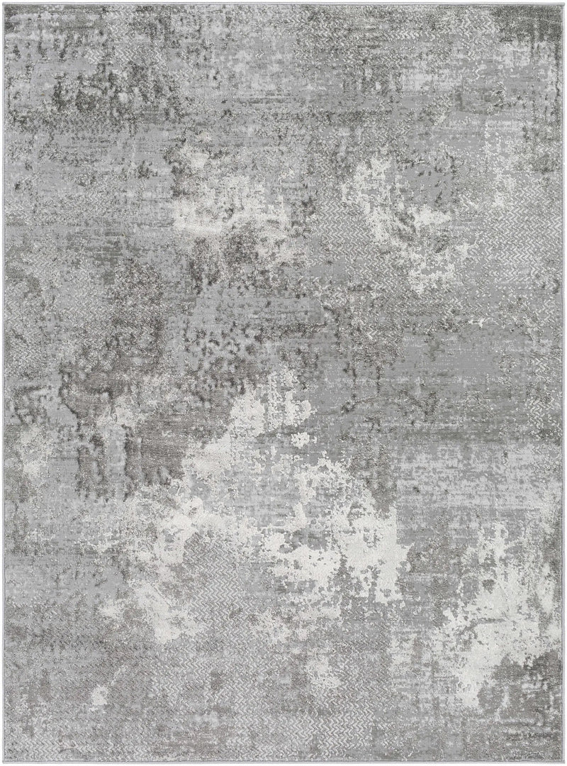 Kapsabet Area Rug - Clearance by Boutique Rugs