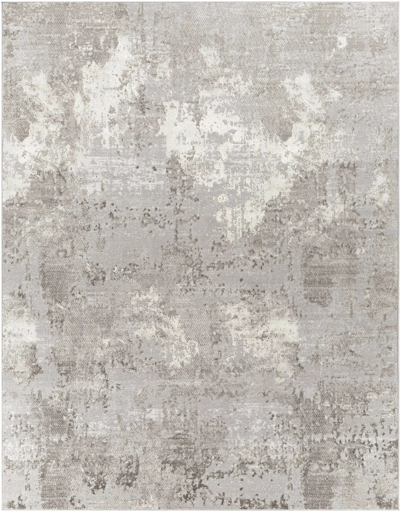 Kapsabet Area Rug - Clearance by Boutique Rugs