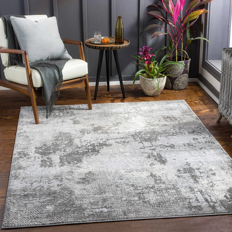 Kapsabet Area Rug - Clearance by Boutique Rugs