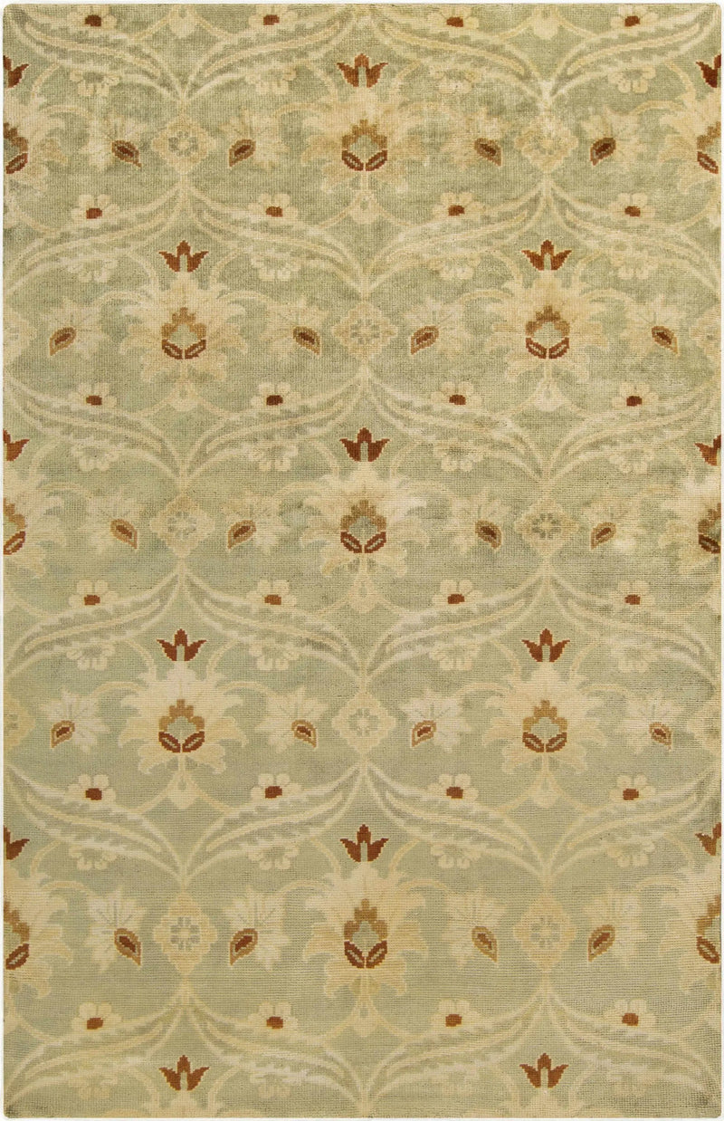 Kaska Area Rug - Clearance by Boutique Rugs