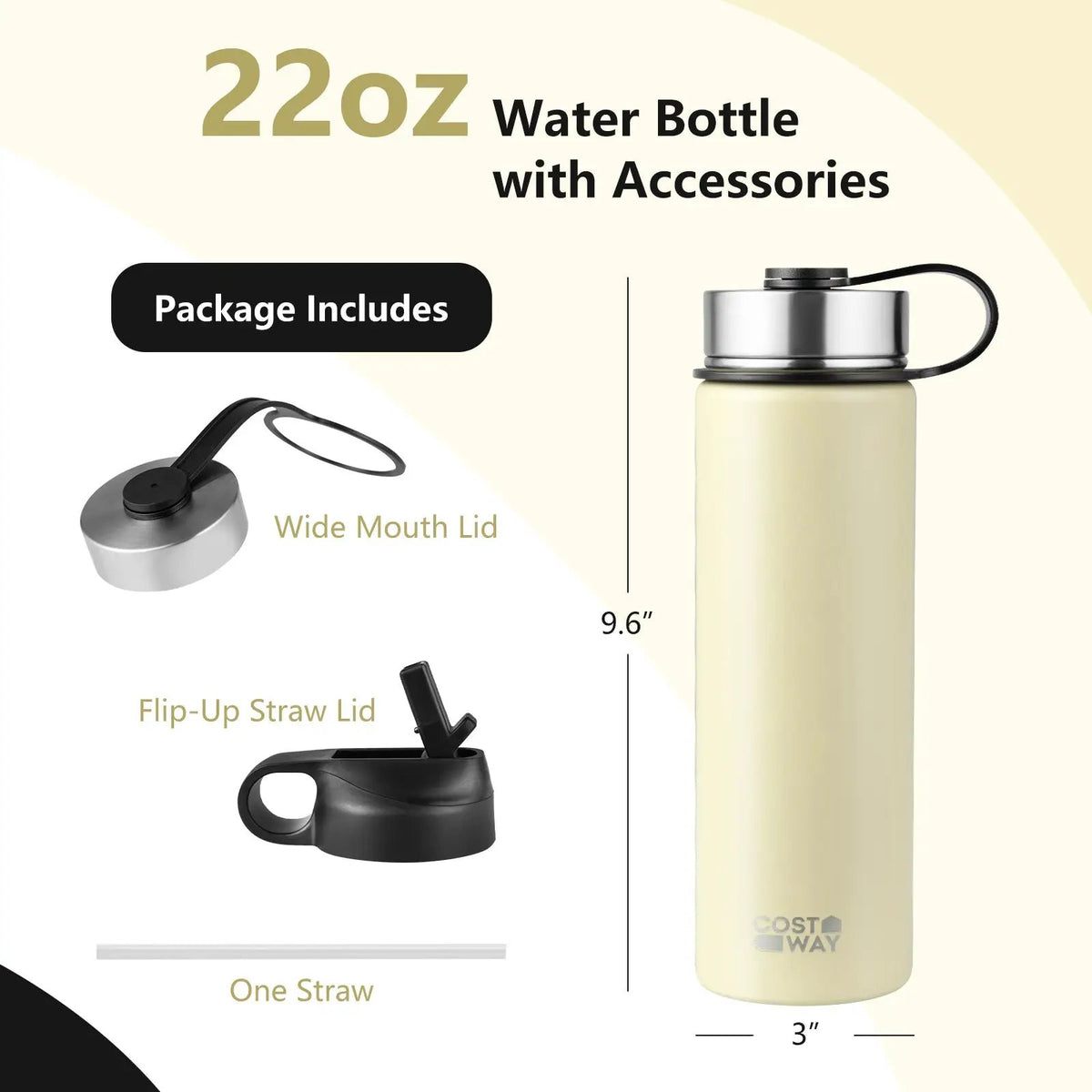 22 Oz Double-walled Insulated Stainless Steel Water Bottle with 2 Lids and Straw by DirectDeals
