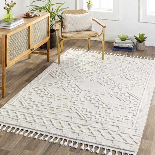Kalkan High/Low Pile Rug with Tassels - Clearance by Boutique Rugs