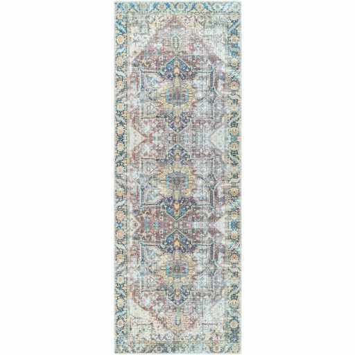 Blue Catigpian Distressed Washable Area Rug by Hauteloom
