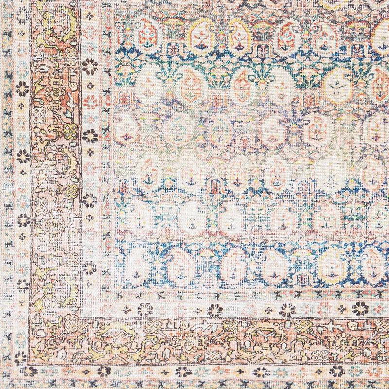 Rust Maligaya Distressed Washable Area Rug by Hauteloom