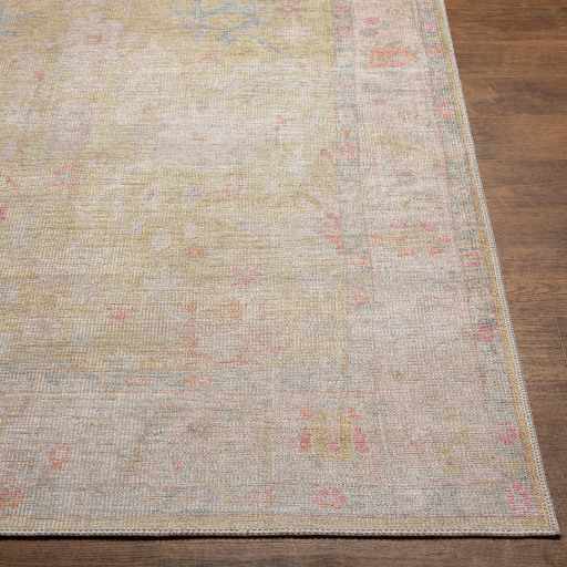 Bozkurt Distressed Washable Rug by Hauteloom