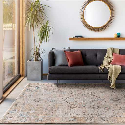 Brown Standon Vintage Washable Area Rug by Hauteloom