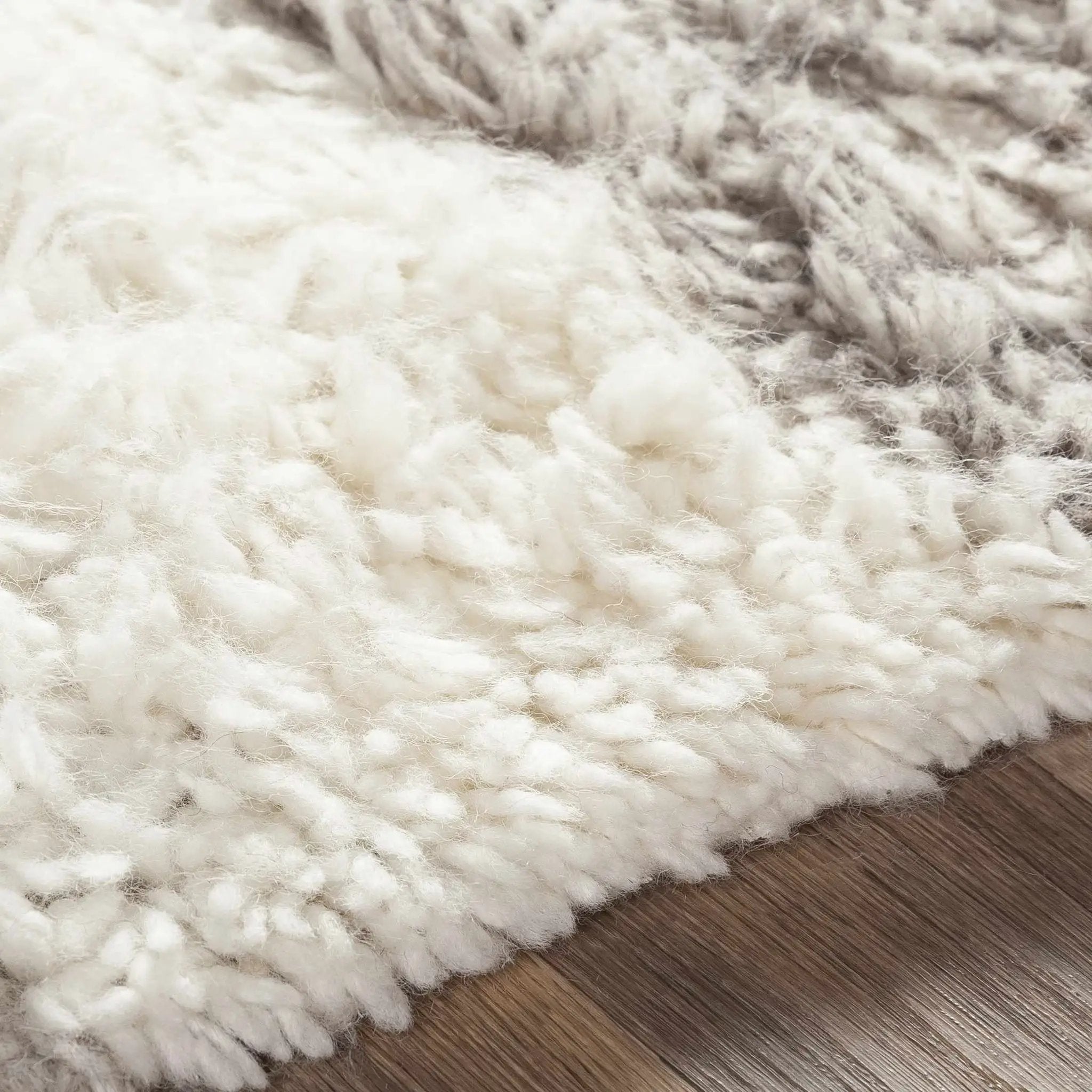 Kingsthorpe Area Rug - Clearance by Boutique Rugs