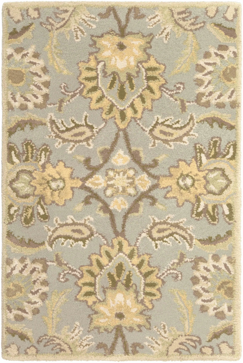 Chesterton Hand Tufted Ivory 1111 Area Rug by Boutique Rugs