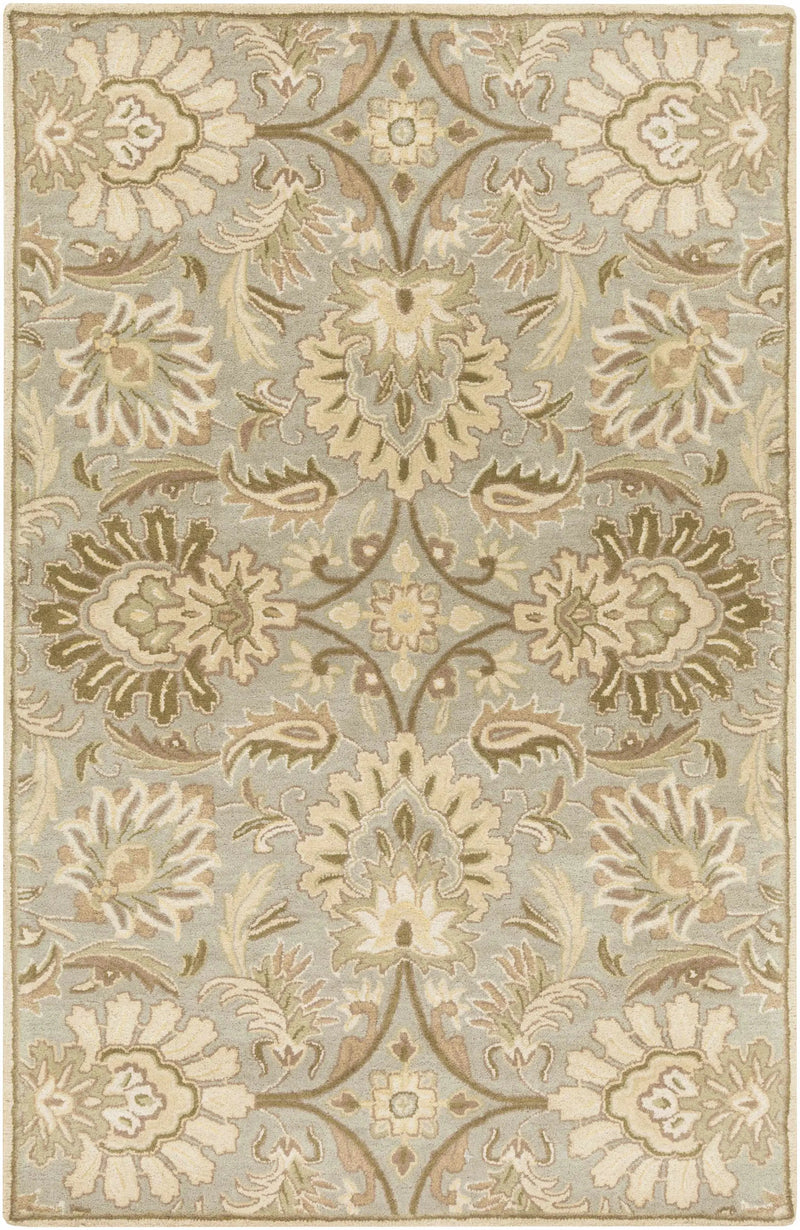 Chesterton Hand Tufted Ivory 1111 Area Rug by Boutique Rugs