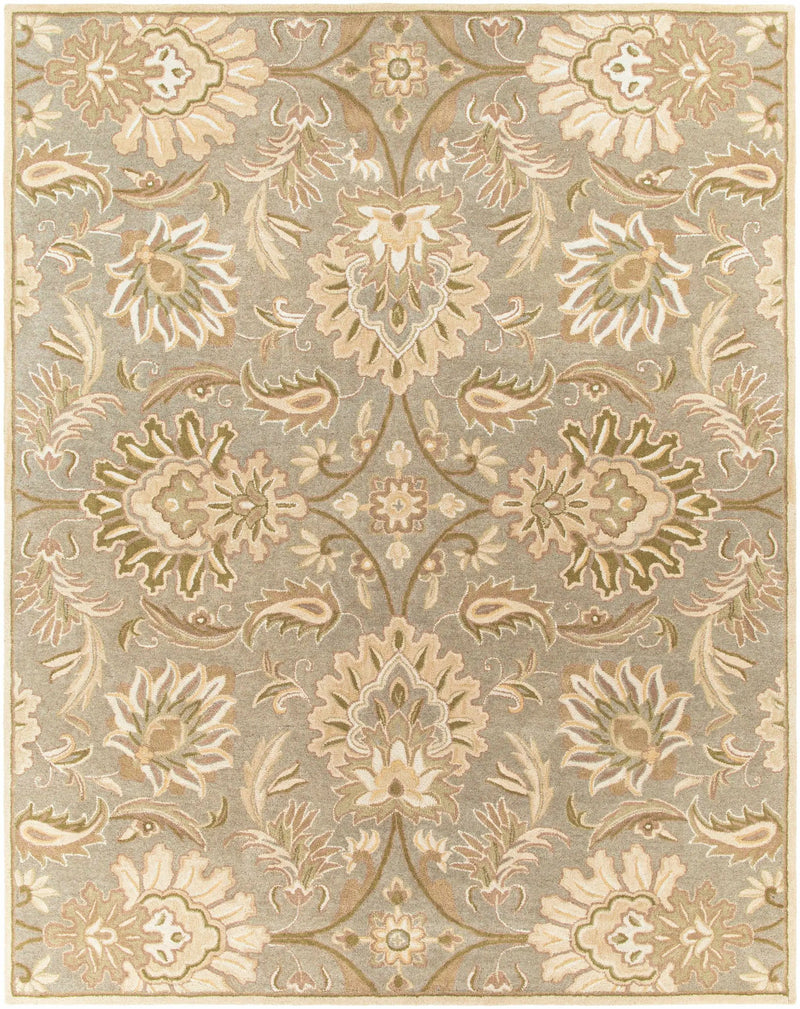 Chesterton Hand Tufted Ivory 1111 Area Rug by Boutique Rugs