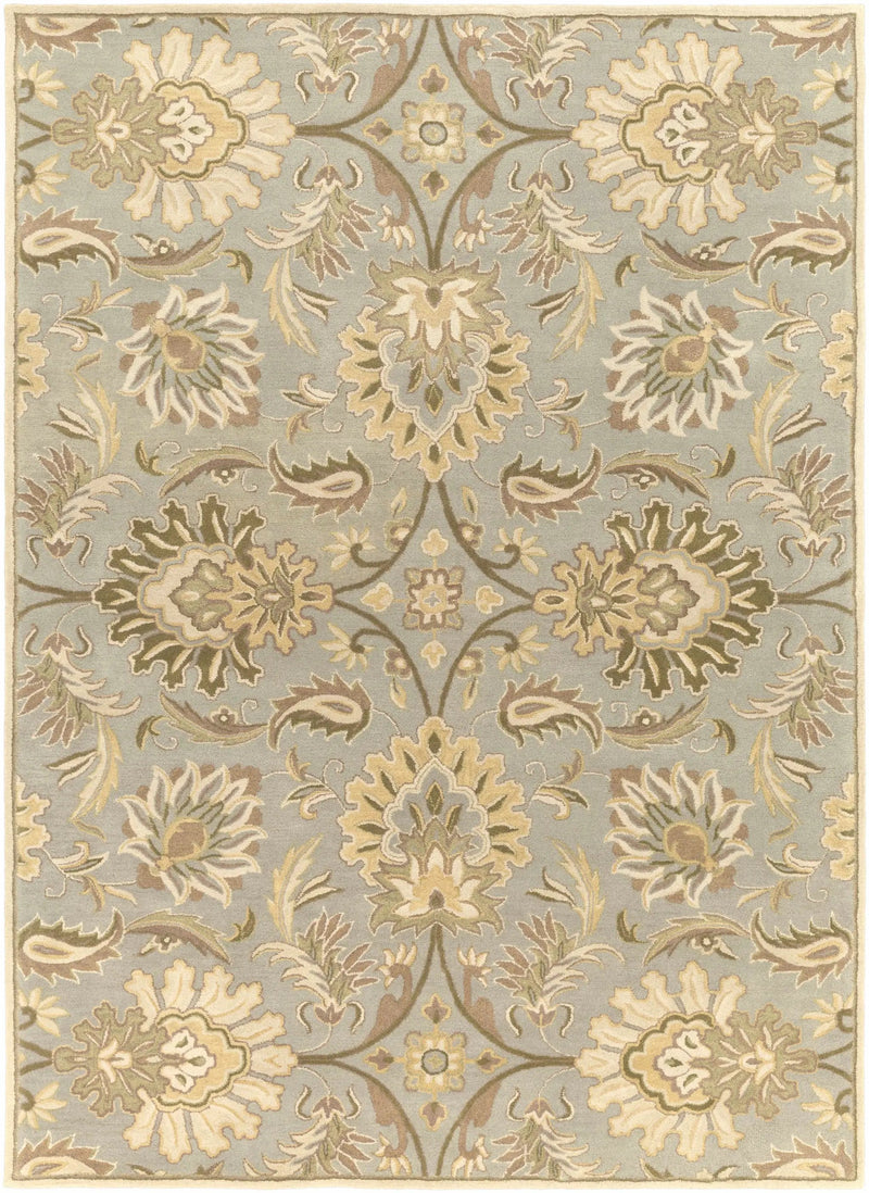 Chesterton Hand Tufted Ivory 1111 Area Rug by Boutique Rugs