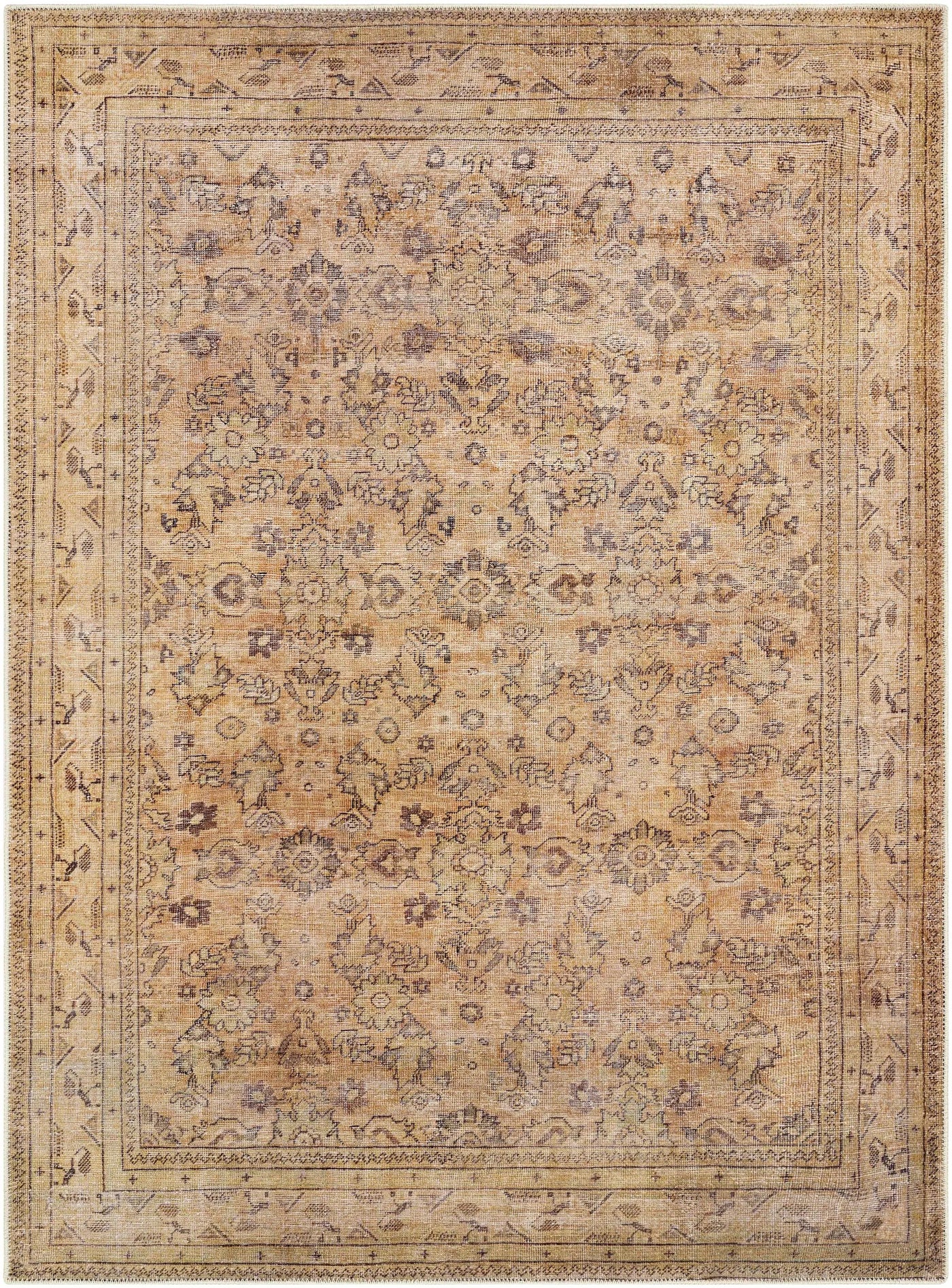 Lapining Washable Area Rug - Clearance by Boutique Rugs