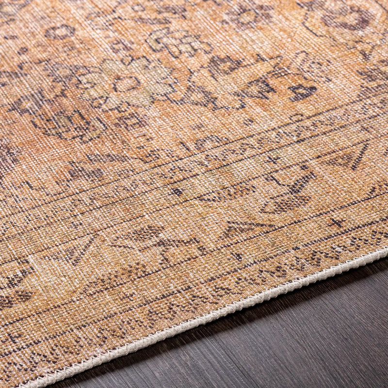 Lapining Washable Area Rug - Clearance by Boutique Rugs
