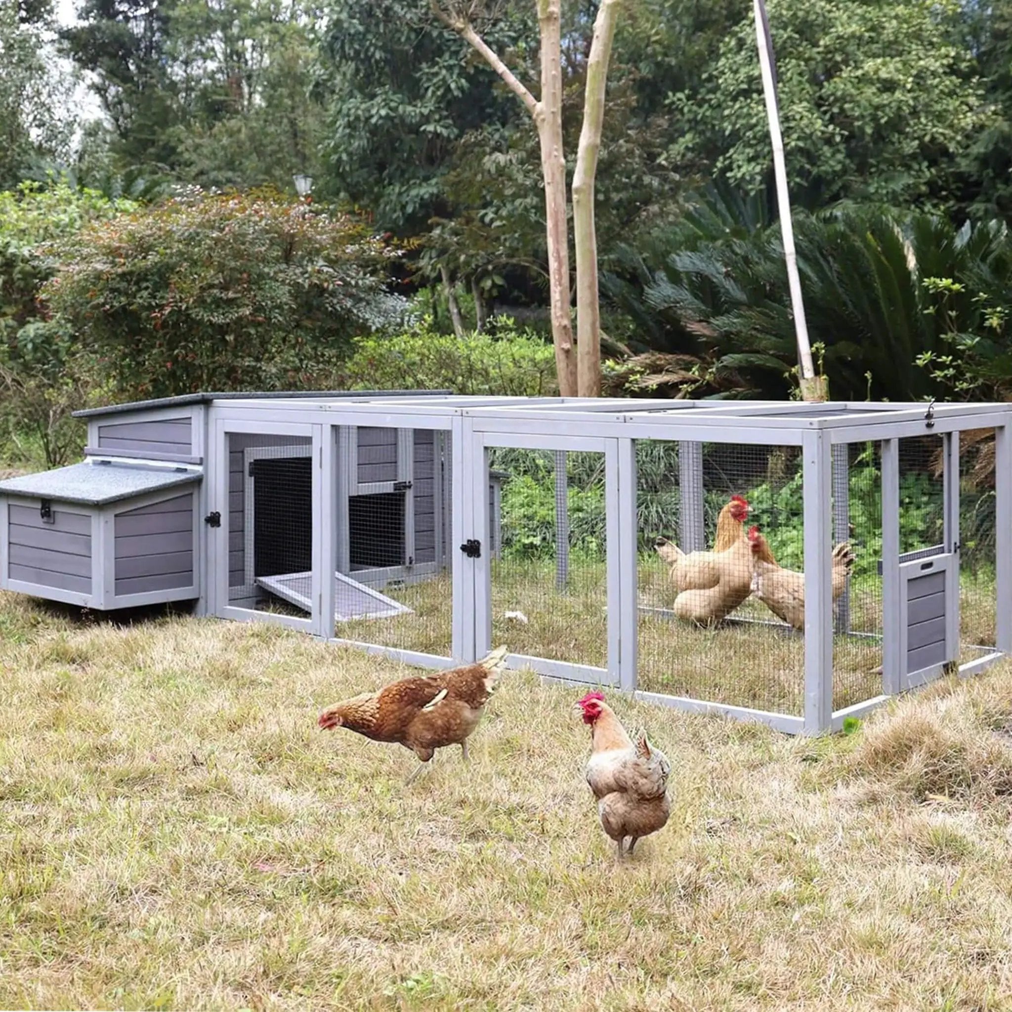 Large 103-Inch Outdoor Chicken Coop House With Run And Nesting Box [4-6 Chickens] (SAK53194) by SAKSBY WHOLESALE