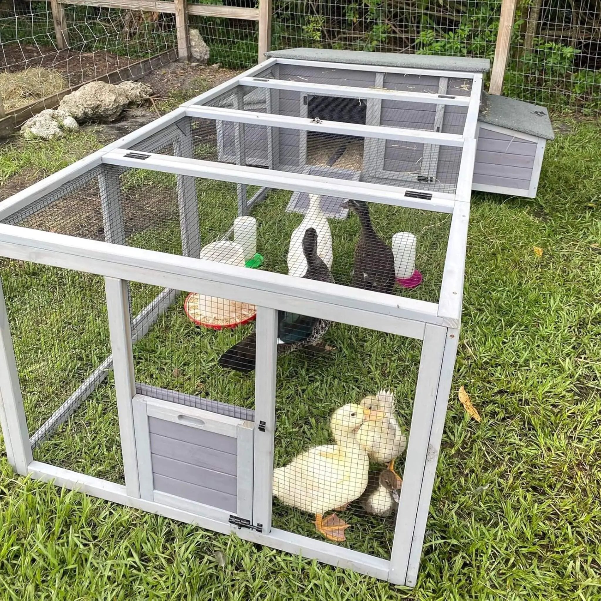 Large 103-Inch Outdoor Chicken Coop House With Run And Nesting Box [4-6 Chickens] (SAK53194) by SAKSBY WHOLESALE