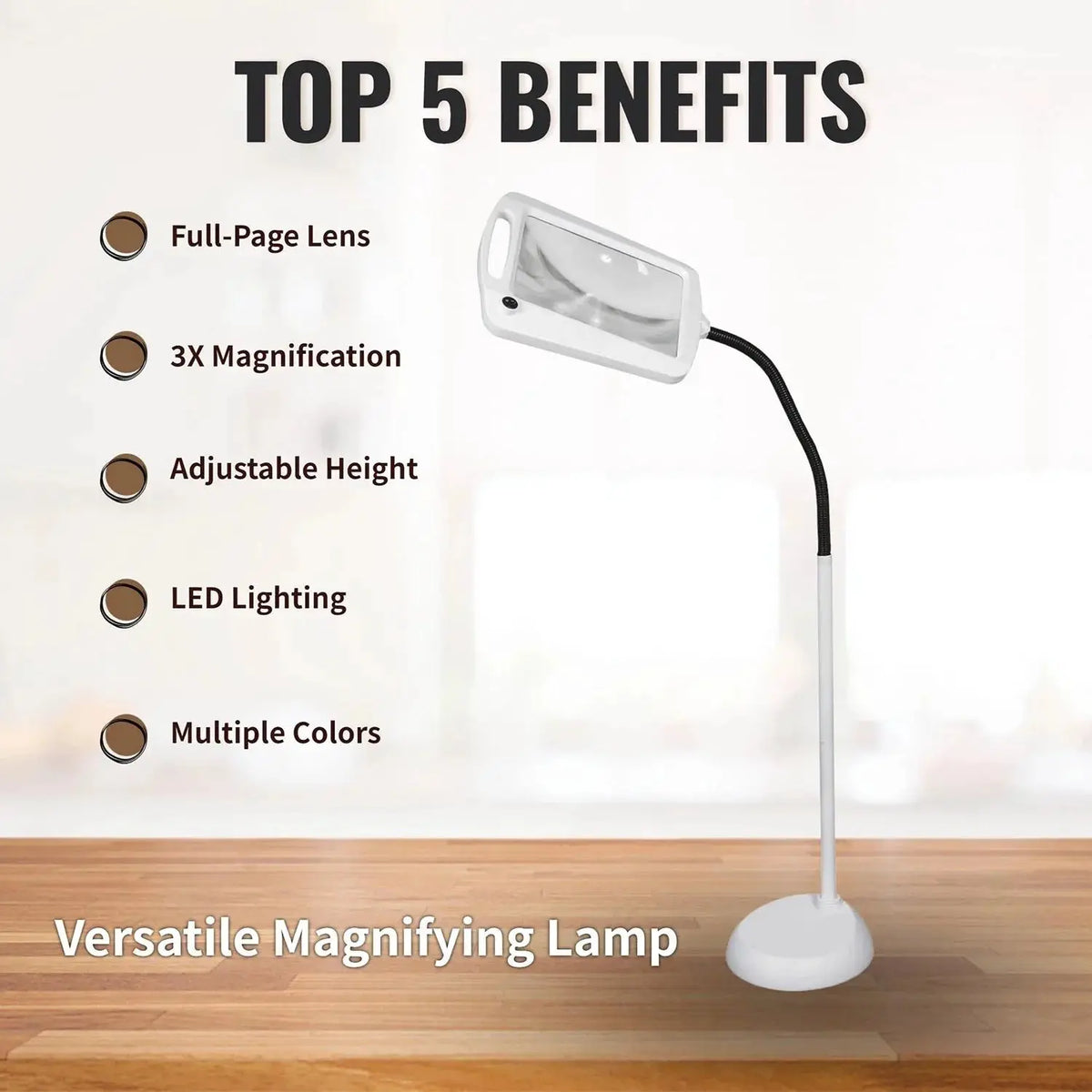 LightView Pro 8X10 - Full Page Magnifying Floor Lamp - Hands Free Magnifier with Bright LED Light for Reading - Flexible Gooseneck Holds Position by Outdoor Solar Outlet