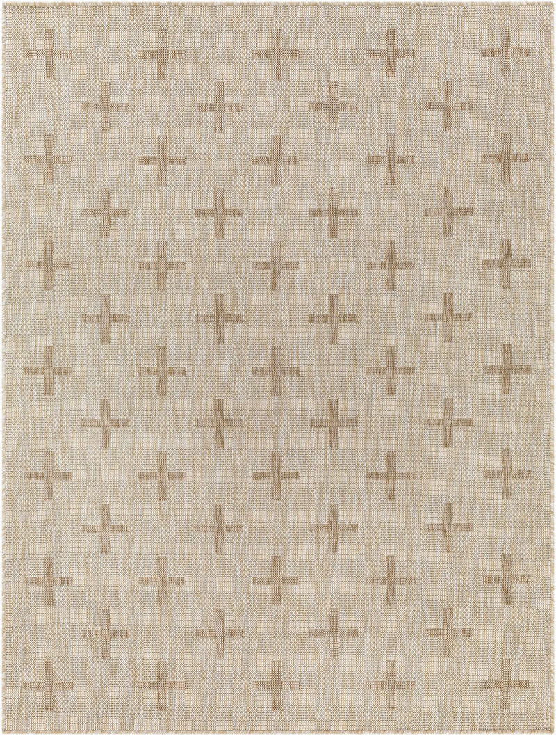 Limbo Beige Outdoor Area Rug by Boutique Rugs