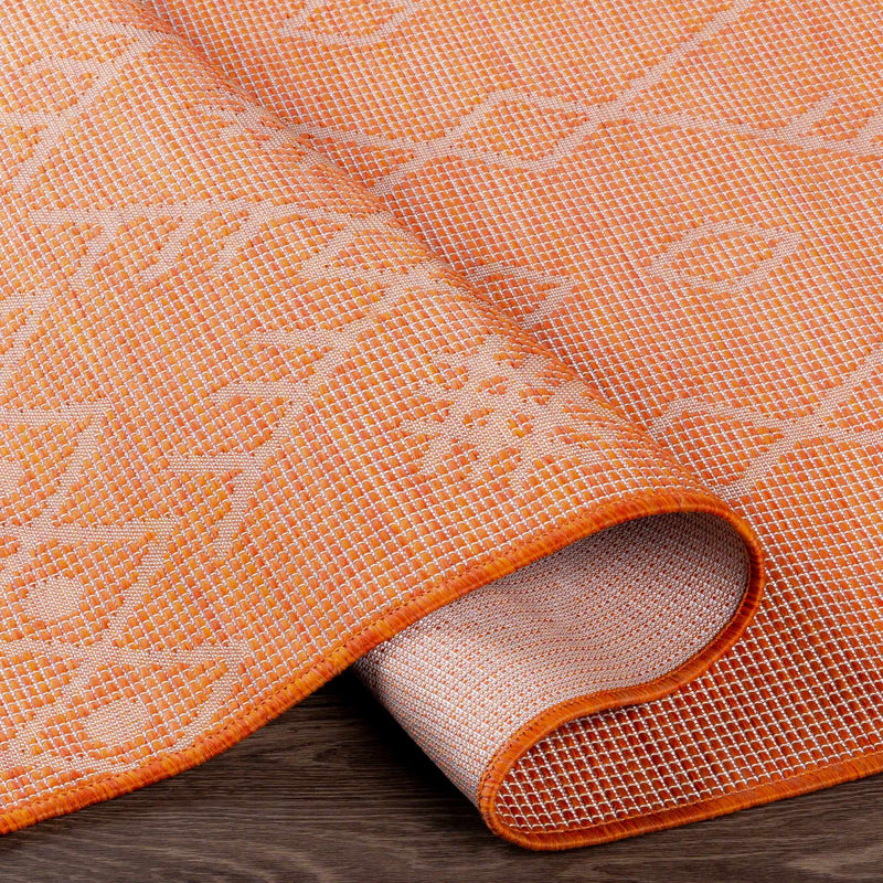 Lisarow Flatweave Outdoor Area Carpet - Clearance by Boutique Rugs