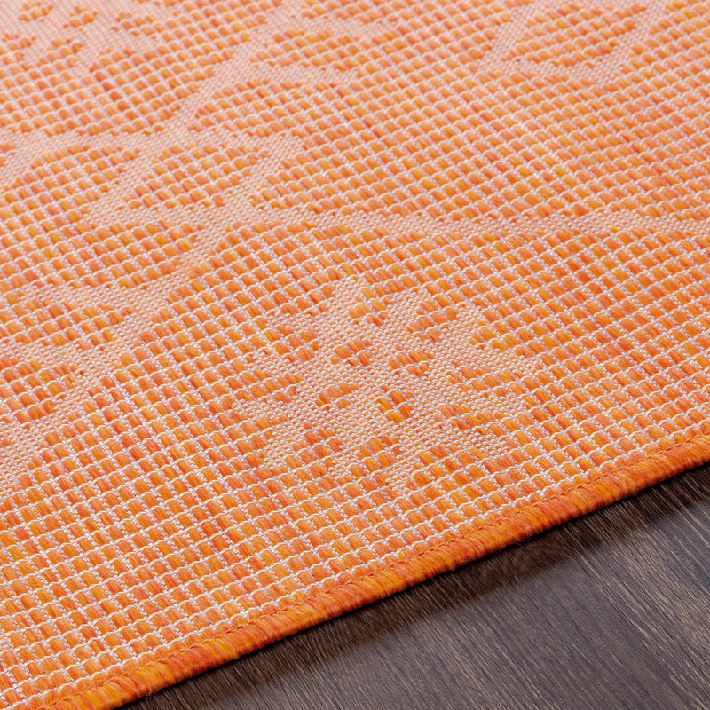 Lisarow Flatweave Outdoor Area Carpet - Clearance by Boutique Rugs