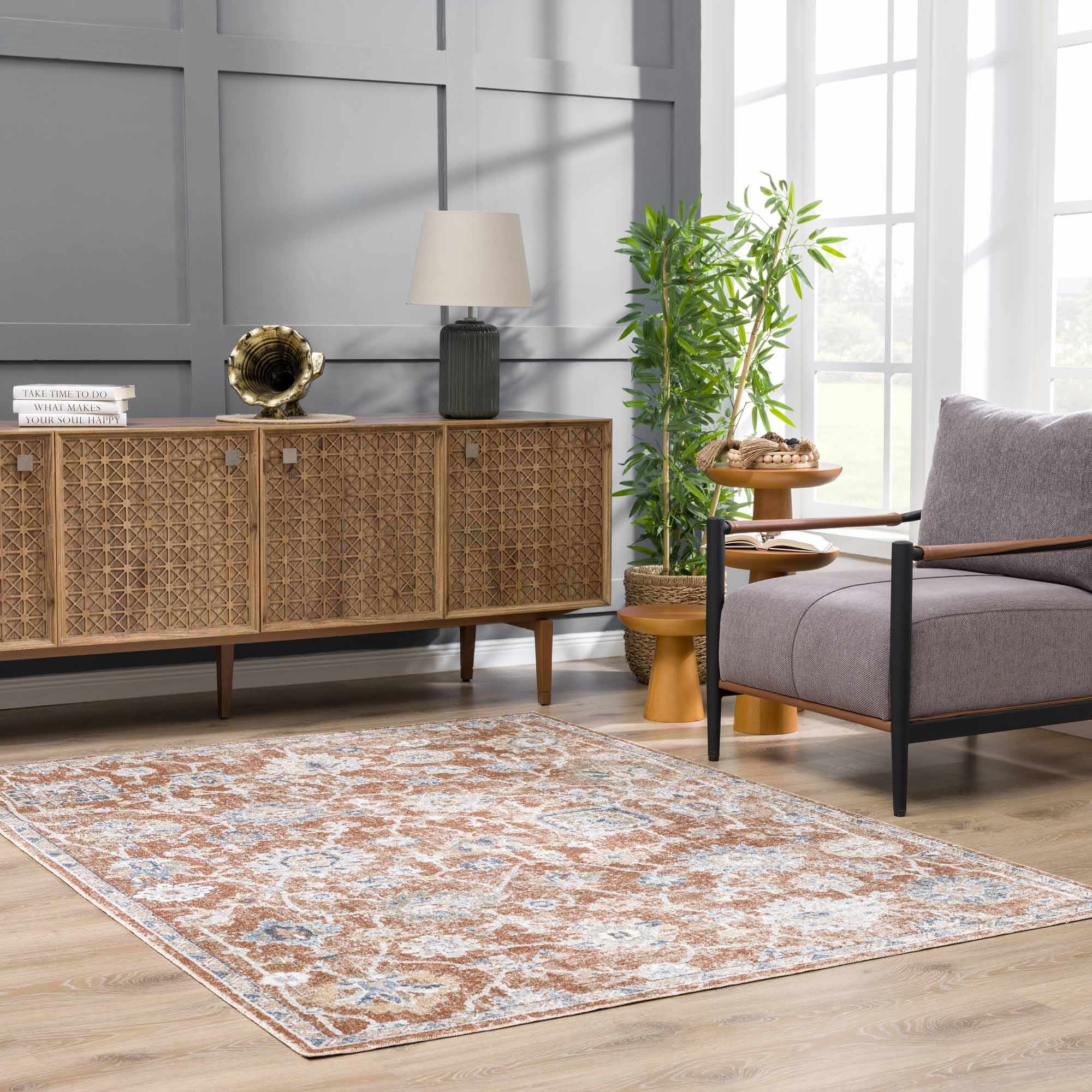 Chavi Washable Area Rug - Clearance by Boutique Rugs