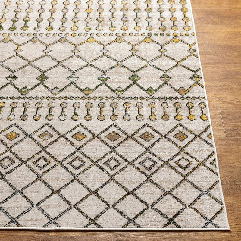 Alanyurt Washable Area Rug - Clearance by Boutique Rugs