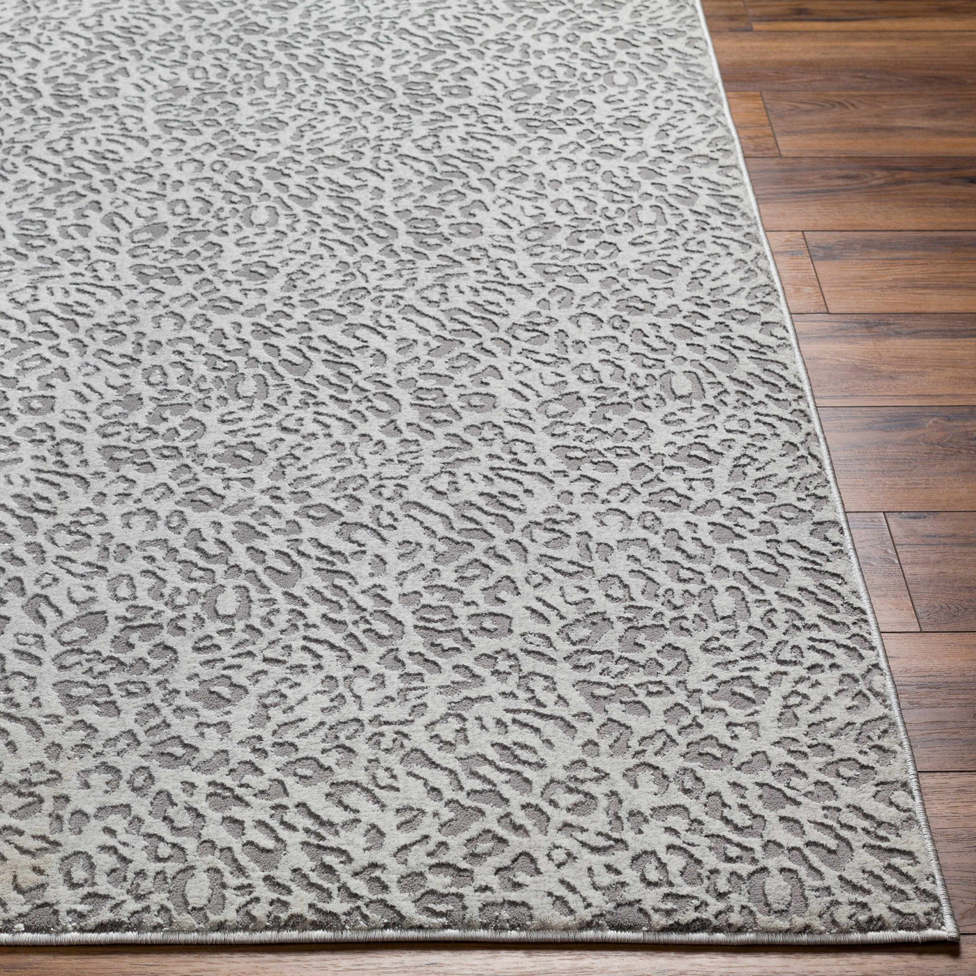 Lesa Area Rug - Clearance by Boutique Rugs