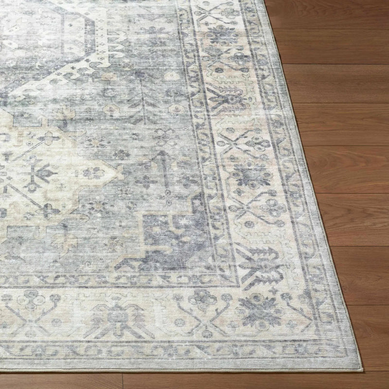 Laran Sage Distressed Washable Area Rug - Clearance by Boutique Rugs