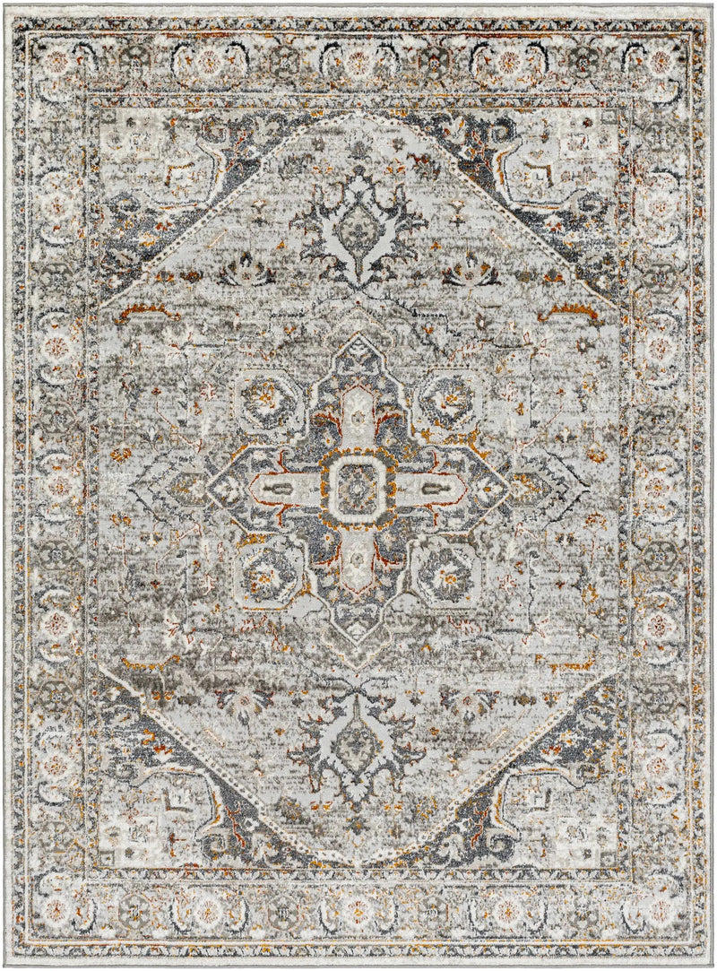 Liverpool Dark Gray Area Rug - Clearance by Boutique Rugs