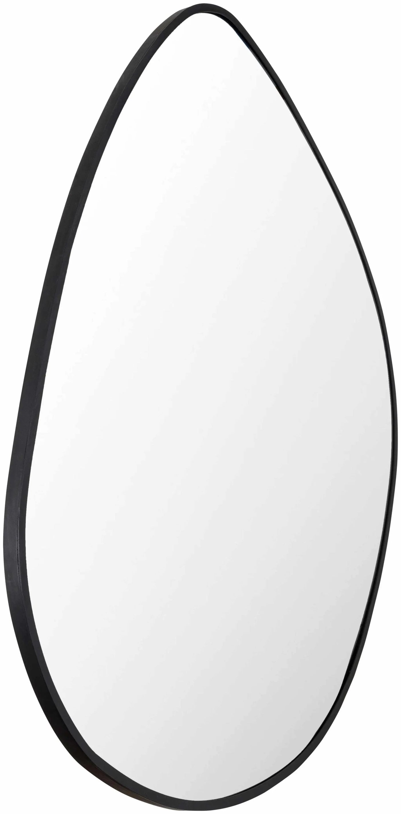 Lochovice Black Distressed Wood Mirror by Boutique Rugs