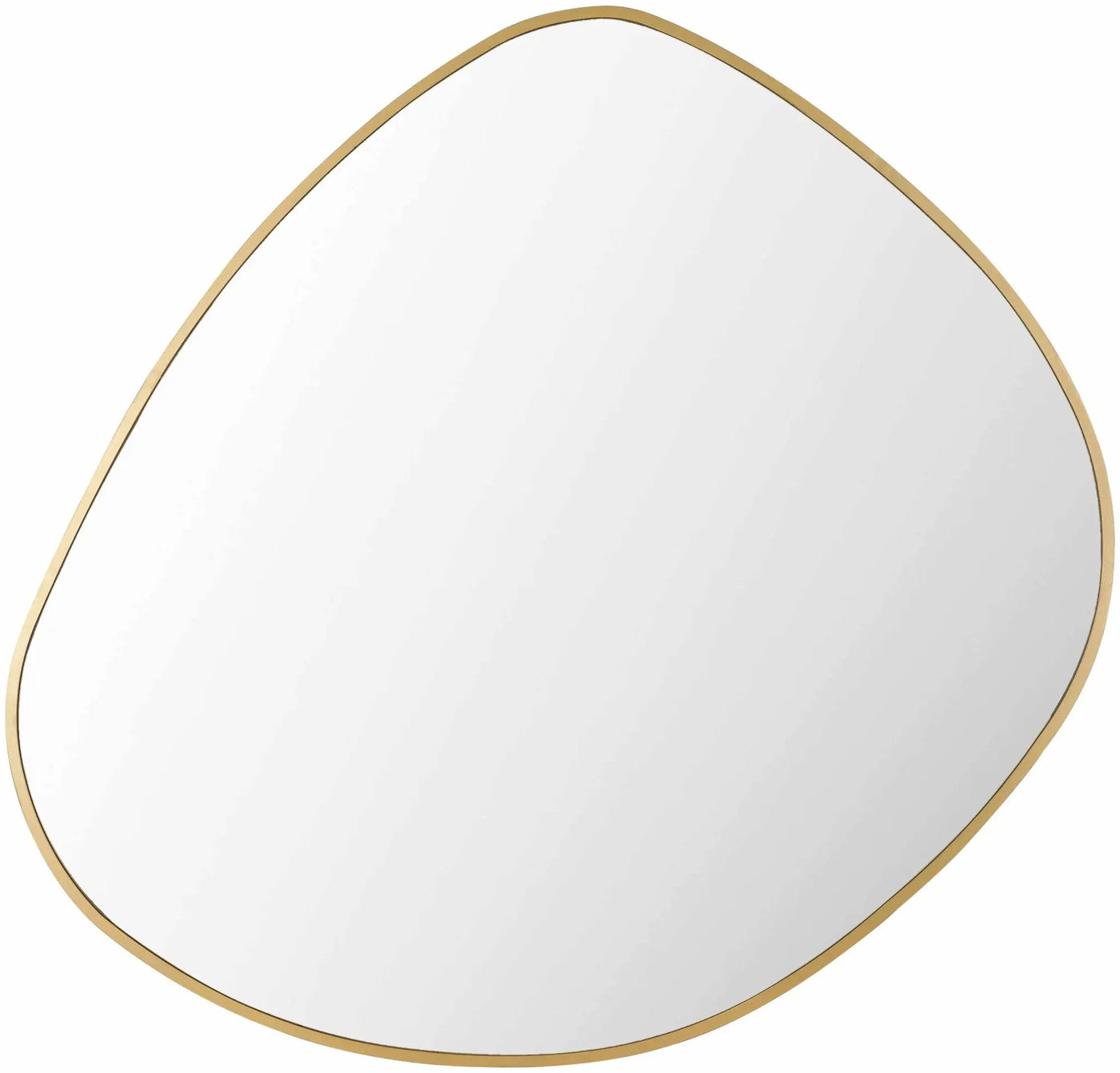 Lochovice Gold Distressed Wood Mirror by Boutique Rugs