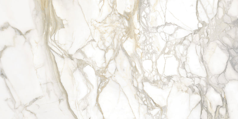 Maestro Bernini Oro Polished Marble Look Porcelain Slab 60x120 6mm close up