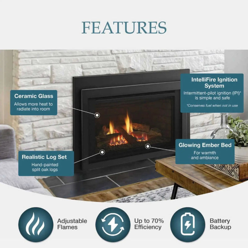 Majestic Jasper 30-Inch Direct Vent Natural Gas Insert [JASPER30IN] (SAK21396) by SAKSBY WHOLESALE