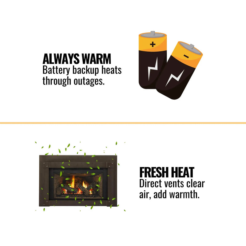 Majestic Trilliant 30-Inch Direct Vent Gas Fireplace Insert [TRILLIANT30IN] (SAK51984) by SAKSBY WHOLESALE