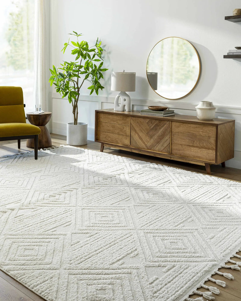 Manyas 3D Bone Area Rug with Tassels - Clearance by Boutique Rugs