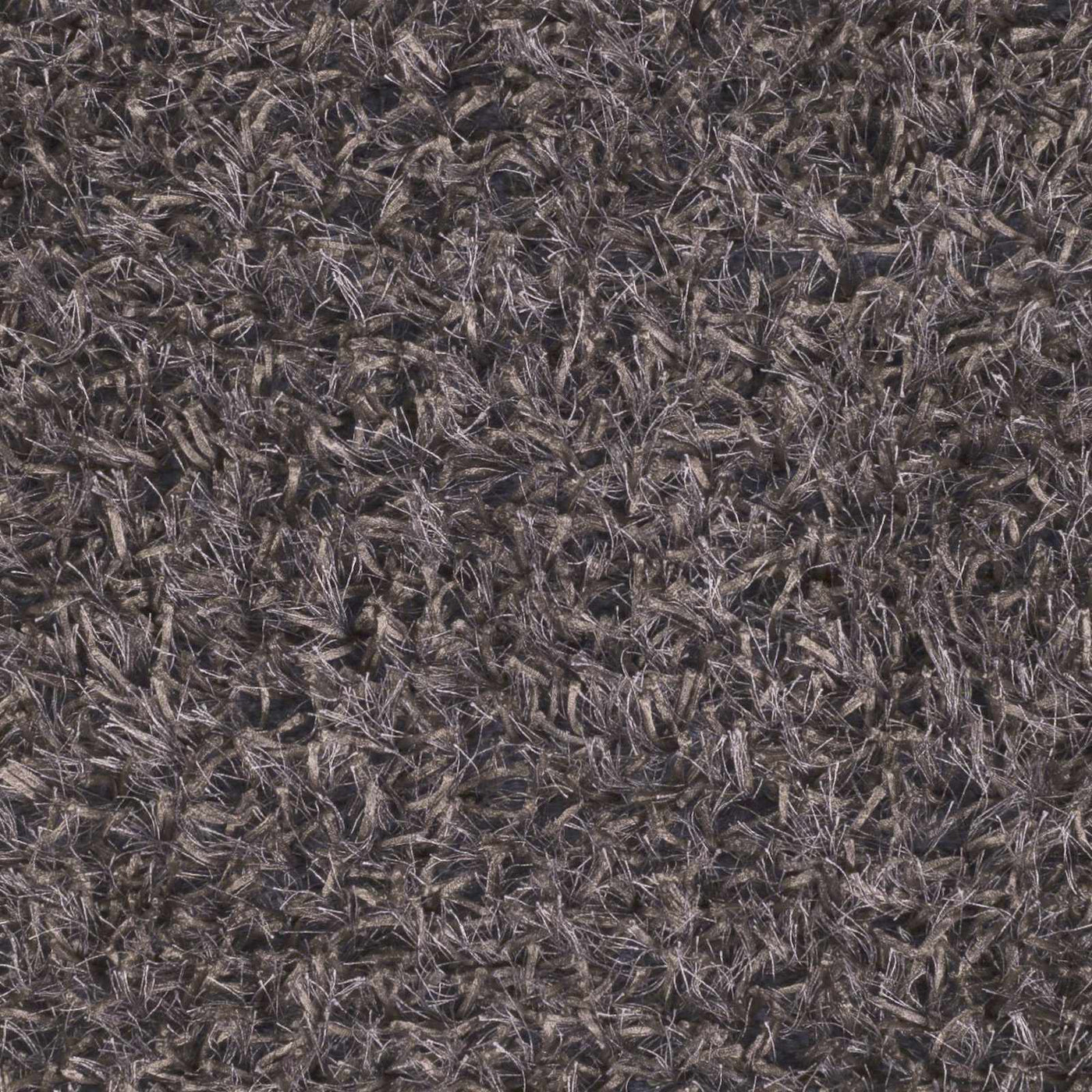 Mariposa Area Carpet - Clearance by Boutique Rugs