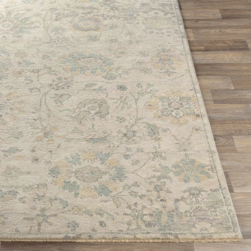 Maybee Area Rug - Clearance by Boutique Rugs